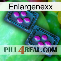 Enlargenexx 03